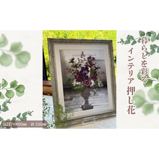 ふるさと納税 花・苗木 愛知県 日進市 暮らしを彩るインテリア押し花 至福のひととき 押し花 額装 プロポーズ 誕生日 結婚記念日 卒業式 開業祝い 退職祝い 母…