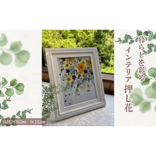 ふるさと納税 花・苗木 愛知県 日進市 暮らしを彩るインテリア押し花 爽やかな風 押し花 額装 プロポーズ 誕生日 結婚記念日 卒業式 開業祝い 退職祝い 母の日…
