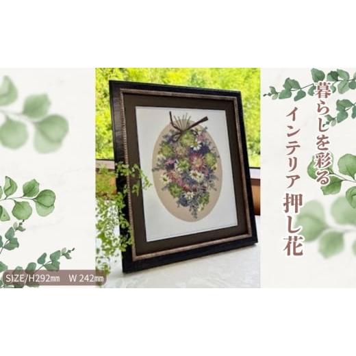 ふるさと納税 花・苗木 愛知県 日進市 暮らしを彩るインテリア押し花 スワッグ 押し花 額装 プロポーズ 誕生日 結婚記念日 卒業式 開業祝い 退職祝い 母の日 …