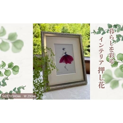 ふるさと納税 花・苗木 愛知県 日進市 暮らしを彩るインテリア押し花 キュート 押し花 額装 プロポーズ 誕生日 結婚記念日 卒業式 開業祝い 退職祝い 母の日 …