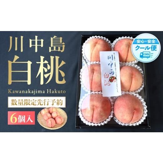 ふるさと納税 もも 和歌山県 九度山町 [2026年発送分][桃 数量限定先行予約 ]川中島白桃 約2kg 6個入 100個に1個の厳選品 こだわり農家厳選 [KG33]