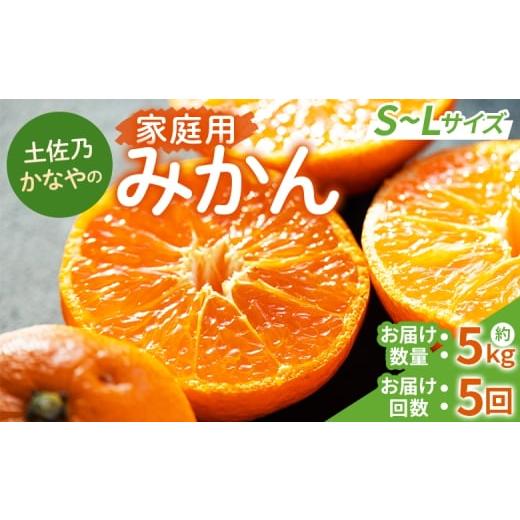 ふるさと納税 果物類 みかん 高知県 香南市 みかん定期便 5回 土佐乃かなやのみかん5kg(S〜Lサイズ)×5回 合計25kg - 定期便 数量 国産 早生みかん 極早生み…