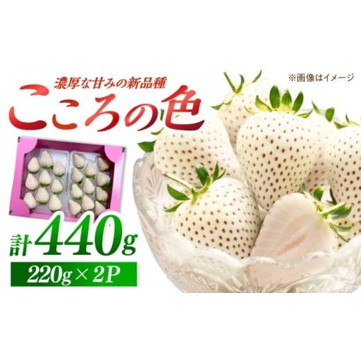 ふるさと納税 いちご 佐賀県 白石町 先行予約 新品種 白石町産 白いちご 「こころの色」 220g×2パック 鐘ヶ江農園
