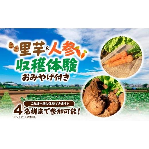 ふるさと納税 体験チケット 埼玉県 所沢市 三富開拓の地を体験 里芋人参収穫体験 | 収穫体験 農業体験 さといも サトイモ 芋 いも イモ 人参 ニンジン にんじ…