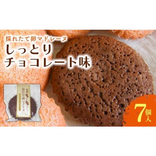 ふるさと納税 焼菓子・チョコレート マドレーヌ 高知県 南国市 マドレーヌ しっとりチョコレート 7個入 | チョコ チョコレート 焼き菓子 お菓子 おかし 贈答用…