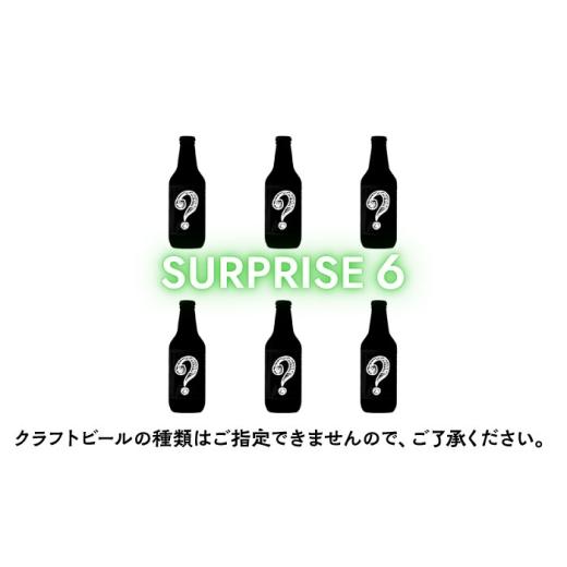 ふるさと納税 ビール 地ビール 神奈川県 横須賀市 クラフトビール おまかせ6本(3種×2本)セット SURPRISE 6 GRANDLINE BREWING
