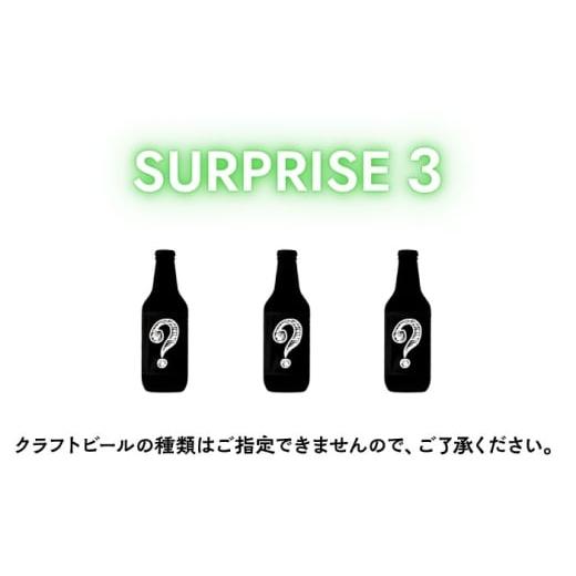 ふるさと納税 ビール 地ビール 神奈川県 横須賀市 クラフトビール おまかせ3本セット SURPRISE 3 GRANDLINE BREWING