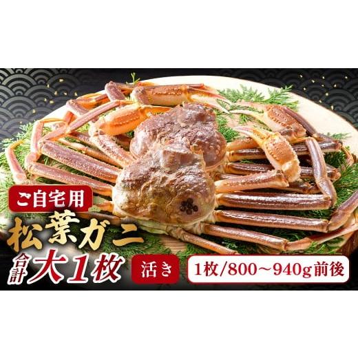 ふるさと納税 カニ 松葉ガニ 鳥取県 日吉津村  活き ご自宅用松葉ガニ　大　１枚 松葉ガニ 松葉がに 松葉蟹 まつばがに かに カニ 冷蔵 チルド ブランド ズワ…_1