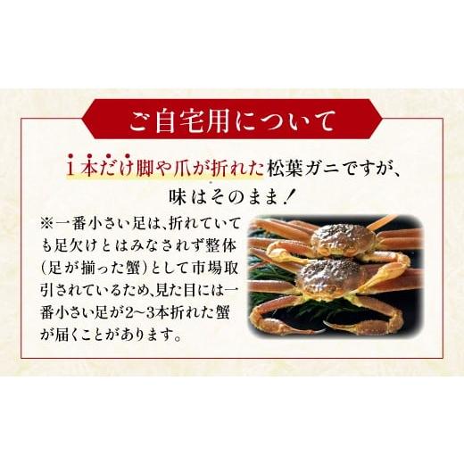 ふるさと納税 カニ 松葉ガニ 鳥取県 日吉津村  活き ご自宅用松葉ガニ　大　１枚 松葉ガニ 松葉がに 松葉蟹 まつばがに かに カニ 冷蔵 チルド ブランド ズワ…_3