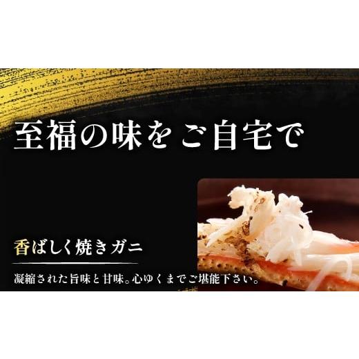 ふるさと納税 カニ 松葉ガニ 鳥取県 日吉津村  活き ご自宅用松葉ガニ　大　１枚 松葉ガニ 松葉がに 松葉蟹 まつばがに かに カニ 冷蔵 チルド ブランド ズワ…_6