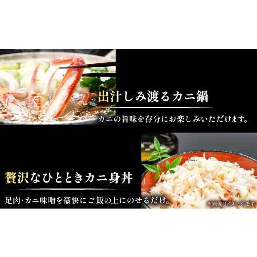 ふるさと納税 カニ 松葉ガニ 鳥取県 日吉津村  活き ご自宅用松葉ガニ　大　１枚 松葉ガニ 松葉がに 松葉蟹 まつばがに かに カニ 冷蔵 チルド ブランド ズワ…_7