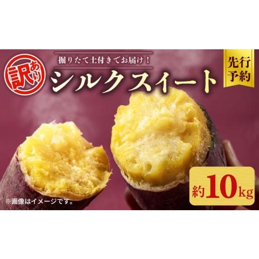 ふるさと納税 野菜類 サツマイモ 千葉県 旭市 先行予約 訳あり シルクスイート 約 10kg さつまいも 2025年 11月以降順次発送予定 土付き さつま芋 さつまイモ…