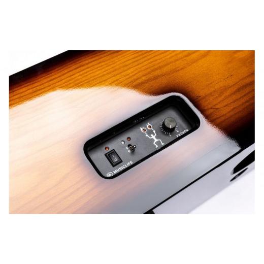 ふるさと納税 TV・オーディオ・写真器 神奈川県 川崎市 MUSICLIFE ML-2 -sunburst-