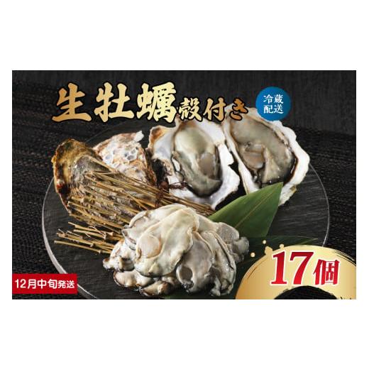 ふるさと納税 牡蠣 生牡蠣 広島県 呉市 2025年12月中旬発送 ナバラ水産 生牡蠣 殻付き 17個 2025年12月中旬発送 (11日〜20日)