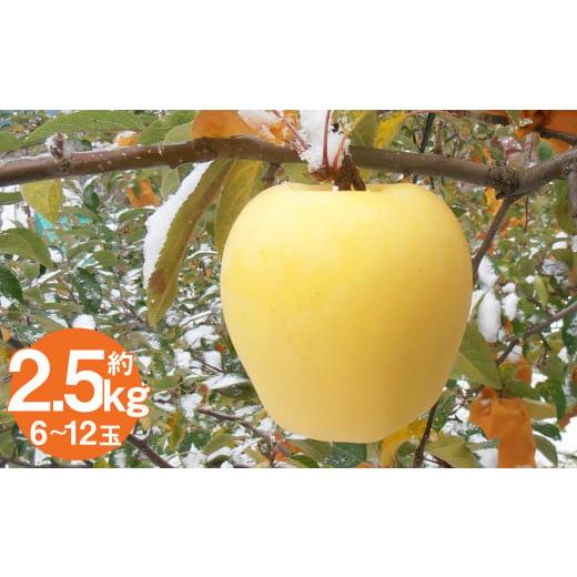 ふるさと納税 りんご 岩手県 二戸市 二戸産りんご はるか 約2.5kg (6〜12玉)/りんご リンゴ 林檎 フルーツ 果物 旬 お取り寄せ 2025年12月発送予定