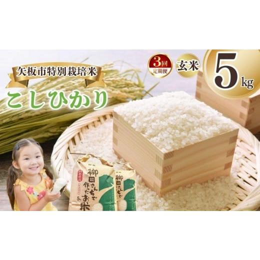 ふるさと納税 玄米 栃木県 矢板市 定期便3回 矢板市特別栽培米 こしひかり 玄米 5kg | お米 米 こめ 白米 玄米 にじのきらめき コシヒカリ こしひかり 美味し…