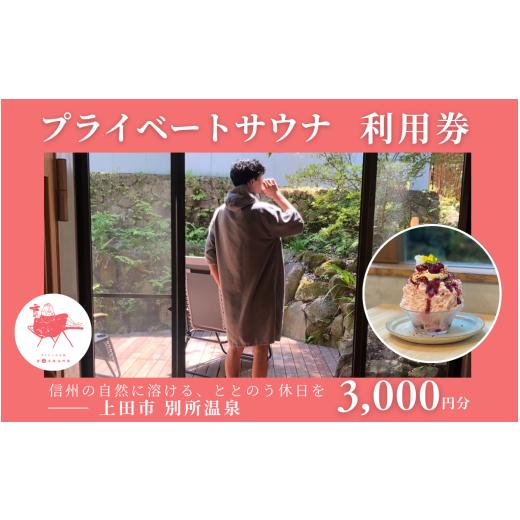 ふるさと納税 体験チケット 長野県 上田市 水玉saunaサウナチケット3000円分 サウナ リラックス かき氷 スイーツ 長野県 上田市 信州 サ活 プライベートサウナ…
