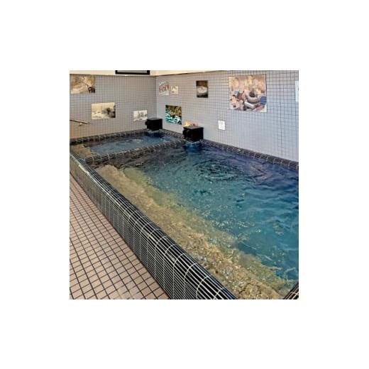 ふるさと納税 温泉・サウナ・スパ利用券 和歌山県 橋本市 高野口乃湯 入浴券 10 枚セット 1650229