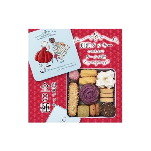ふるさと納税 焼菓子・チョコレート クッキー 奈良県 大和郡山市 銀河クッキー 詰め合わせ ガールズ缶 9種の焼き菓子詰合せ お菓子 おやつ 焼菓子 クッキー …