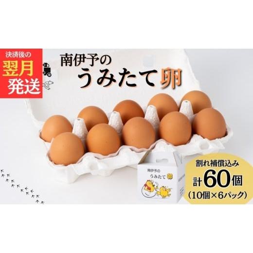 ふるさと納税 卵(鶏、烏骨鶏等) 愛媛県 伊予市 卵 たまご 60個 南伊予のうみたて卵 産地直送 南伊予養鶏 伊予市 愛媛 |
