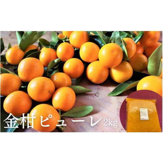 ふるさと納税 ジャム 和歌山県 串本町 串本町 特産の金柑を使った きんかんピューレ 2kg