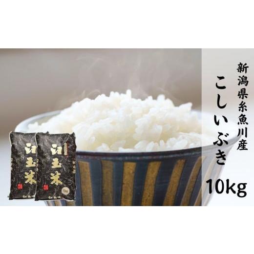 ふるさと納税 米 新潟県 糸魚川市 令和7年産新米 新潟県産こしいぶき『臼玉米』10kg 2025年産 木島米穀店 新潟県 糸魚川市 米 お米 白米 こめ コメ コシイブ…