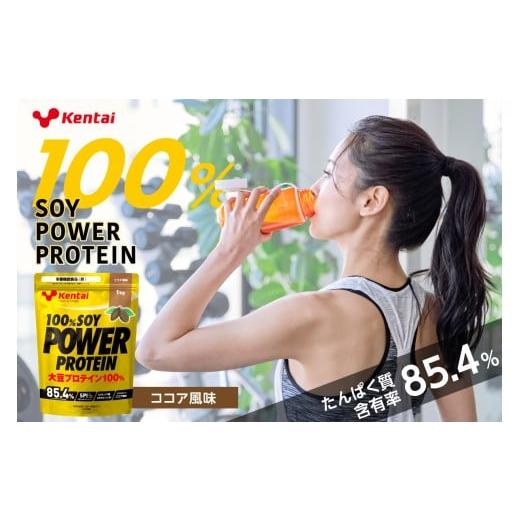 ふるさと納税 加工品等 栃木県 那須塩原市 100%SOY POWER PROTEIN ココア風味 ns136-002 プロテイン タンパク質 植物由来 大豆 ビタミン ミネラル 飲料 健康 …
