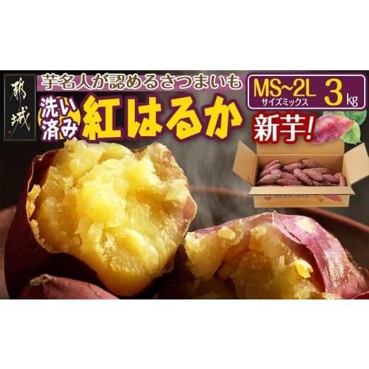 ふるさと納税 野菜類 サツマイモ 宮崎県 都城市 新芋 芋名人が認めるさつまいも『洗い済み 紅はるか』3kg MS〜2Lミックス 9月〜11月頃順次発送_LD-L704-N_(…