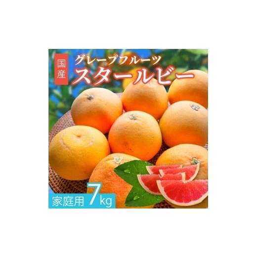 ふるさと納税 みかん・柑橘類 愛知県 美浜町 先行受付予約 国産グレープフルーツ 家庭用7kg(15〜20玉) 訳あり 柑橘 スタールビー ノーワックス 防腐剤なし …