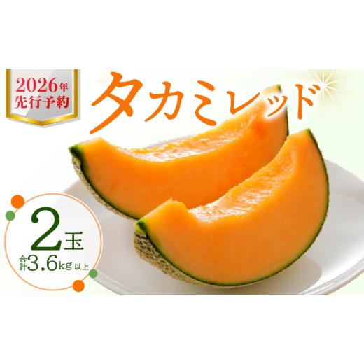 ふるさと納税 メロン メロン赤肉 千葉県 銚子市 メロン 5L 2玉入 タカミレッド 先行予約 2026 期間限定 季節限定 くだもの フルーツ ジューシー 大きい 果物 …