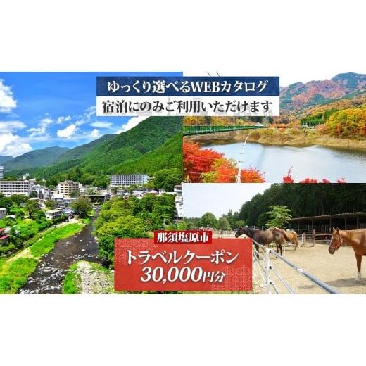 ふるさと納税 宿泊券 ホテル 栃木県 那須塩原市 那須塩原市 後から選べる旅行Webカタログで使える 旅行クーポン(30,000円分)旅行券 宿泊券 ns124-001 宿泊 …