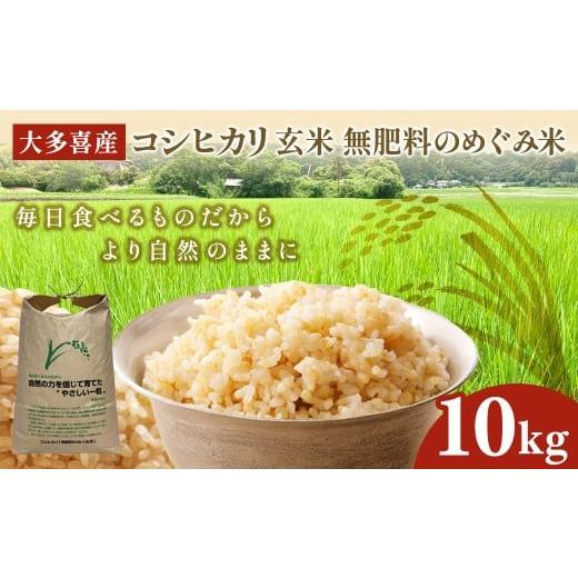 ふるさと納税 玄米 千葉県 大多喜町 W024501 令和7年産 大多喜産コシヒカリ 無肥料のめぐみ米 玄米10kg 〜毎日食べるものだから 自然の力を信じて育て…