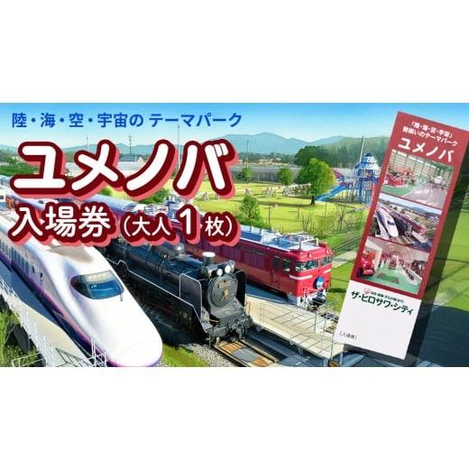 ふるさと納税 入場券・優待券 茨城県 筑西市 陸・海・空・宇宙の テーマパーク ユメノバ 入場券 (大人1枚) ザ・ヒロサワ・シティ チケット レジャー ヒロサ…