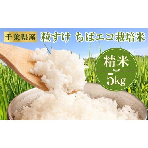 ふるさと納税 米 千葉県 大多喜町 W01801 令和7年産 千葉県産 粒すけ ちばエコ栽培米 精米 5kg