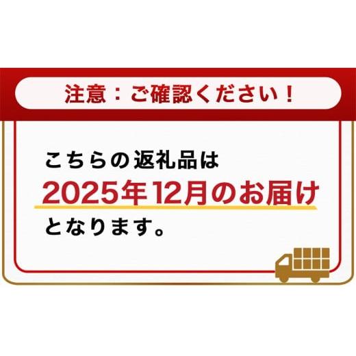 ふるさと納税 牛肉 焼肉・バーベキュー 宮崎県 都城市 2025年12月お届け 畜産農家応援 宮崎牛焼肉2種セット250g×2パック_14-N203-2512_(都城市) 赤身 霜降り…