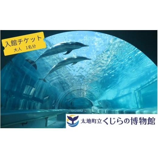 ふるさと納税 入場券・優待券 和歌山県 太地町 太地町立くじら博物館 入館チケット大人1名分/チケット 入館券 博物館 くじら 鯨