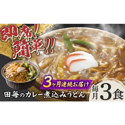ふるさと納税 うどん 岐阜県 岐阜市 3回定期便 岐阜の味 田毎のカレー煮込みうどんセット 即席 カンタン 麺 岐阜市 / ラボレムス