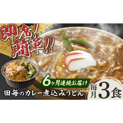 ふるさと納税 うどん 岐阜県 岐阜市 6回定期便 うどん 岐阜の味 田毎のカレー煮込みうどんセット 即席 カンタン 麺 うどん カレーうどん 煮込みうどん カレー…