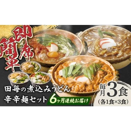 ふるさと納税 うどん 岐阜県 岐阜市 6回定期便 うどん 岐阜の味 田毎の煮込みうどん辛辛麺セット 即席 カンタン 麺 カレーうどん ピリ辛味噌煮込みうどん ピ…