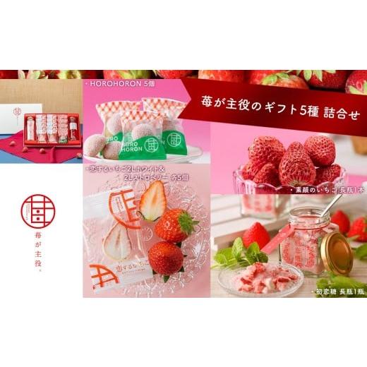 ふるさと納税 菓子 チョコレート 栃木県 真岡市 苺が主役のギフト5種 詰合せ| お菓子 お土産 ギフト プレゼント ストロベリー お歳暮 贈答 栃木県 真岡市 送料…
