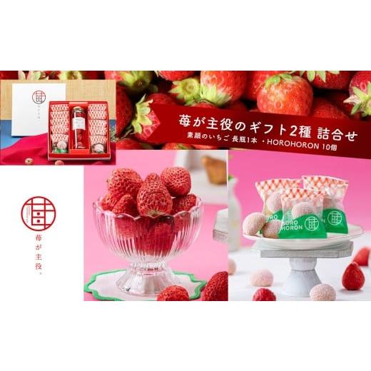 ふるさと納税 菓子 チョコレート 栃木県 真岡市 苺が主役のギフト2種 詰合せ | お菓子 お土産 ギフト プレゼント ストロベリー お歳暮 贈答 栃木県 真岡市 送…
