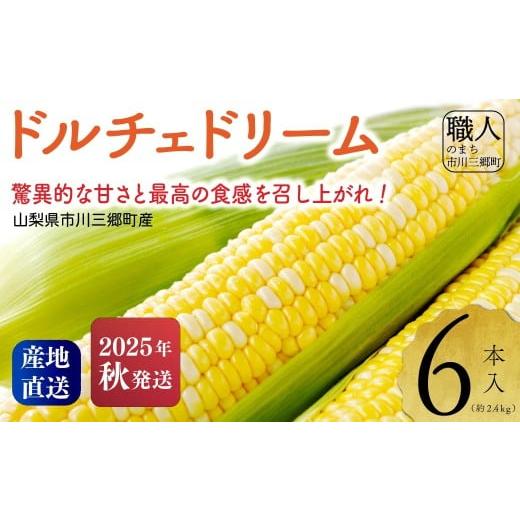 ふるさと納税 とうもろこし 山梨県 市川三郷町 2025年10月中旬から発送 秋の「ドルチェドリーム」6本入 山梨県市川三郷町産 Inakakara