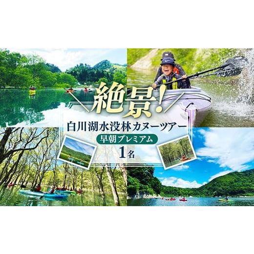 ふるさと納税 体験チケット 山形県 飯豊町 水没林カヌー[早朝プレミアム](1名様分)- 体験 チケット 自然 カヤック 絶景 白川湖 フォトジェニック 癒し 湖 …