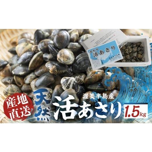 ふるさと納税 魚貝類 あさり 愛知県 田原市 [先行予約]旬の渥美産 天然 活あさり 1.5kg 先行予約 ふるさと納税 あさり 国産 ふるさと納税 アサリ 採れたて …