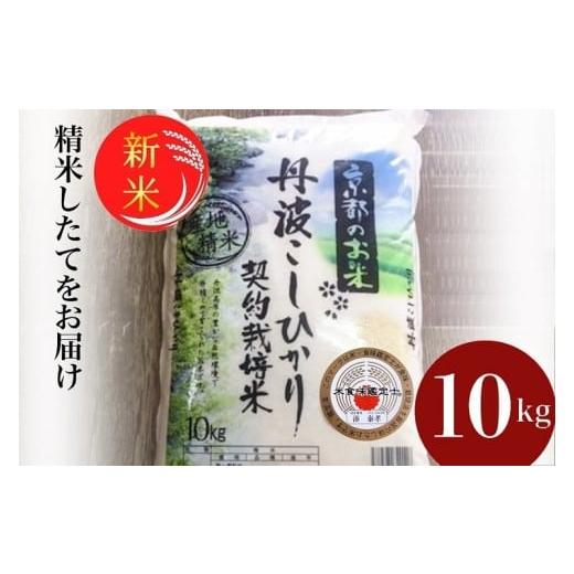 ふるさと納税 米 コシヒカリ 京都府 亀岡市 10月発送 令和7年産 新米 京都丹波米 こしひかり10kg 米 白米 新米精米 こしひかり精米 京都丹波米精米 令和7年産…