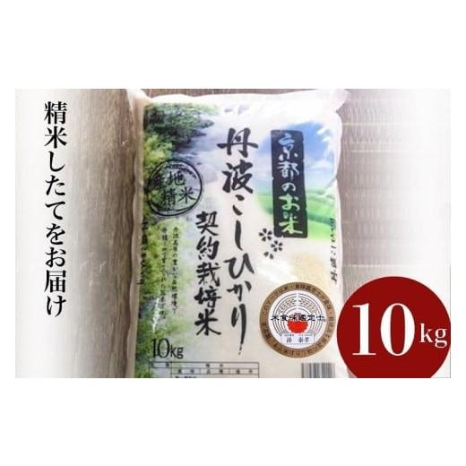 ふるさと納税 米 コシヒカリ 京都府 亀岡市 3月発送 令和7年産 京都丹波米 こしひかり10kg 米 白米 精米 こしひかり精米 京都丹波米精米 令和7年産米精米 白…
