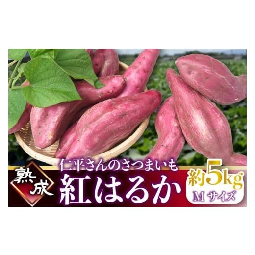 ふるさと納税 野菜類 サツマイモ 茨城県 行方市 2026年1月より順次発送 仁平さんの熟成紅はるか 約5kg(Mサイズ・洗い)|さつまいも サツマイモ さつま芋 いも…