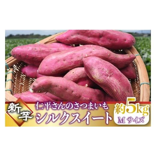 ふるさと納税 野菜類 サツマイモ 茨城県 行方市 2025年9月より順次発送 仁平さんの新芋シルクスイート 約5kg(Mサイズ・洗い)|さつまいも サツマイモ さつま…