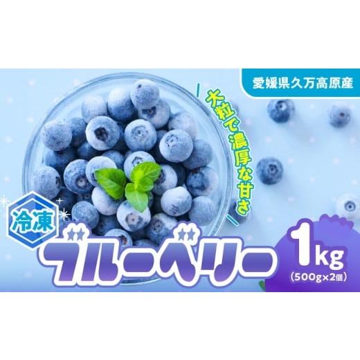 ふるさと納税 果物類 愛媛県 久万高原町 冷凍 ブルーベリー 大粒 1kg (500g×2パック) 5種類ミックス | 国産 愛媛県 久万高原町 農園直送 栽培期間中 農薬不使…
