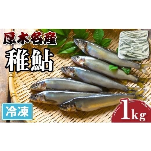ふるさと納税 川魚 あゆ 神奈川県 厚木市 No.1117 厚木名産 冷凍稚鮎 1kg / アユ あゆ 川魚 稚魚 名物 相模の鮎 かながわブランド 特産 天ぷら 唐揚げ 大容…